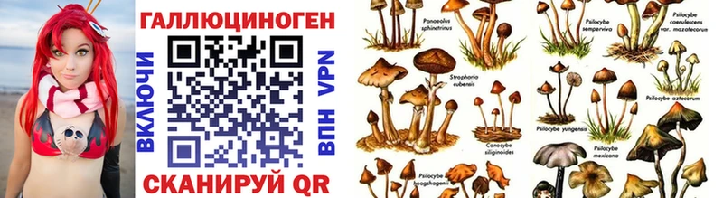 где продают наркотики  Ейск  Псилоцибиновые грибы мухоморы 