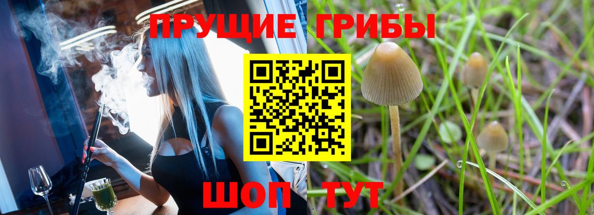 Псилоцибиновые грибы мицелий Ейск