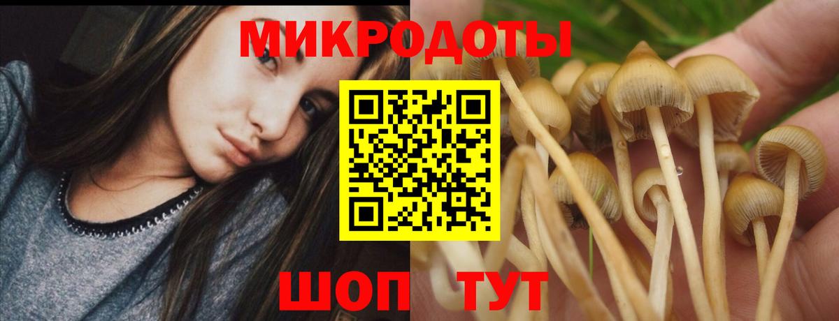 Ейск  Галлюциногенные грибы мухоморы  Псилоцибиновые грибы Cubensis  Вход с VPN 